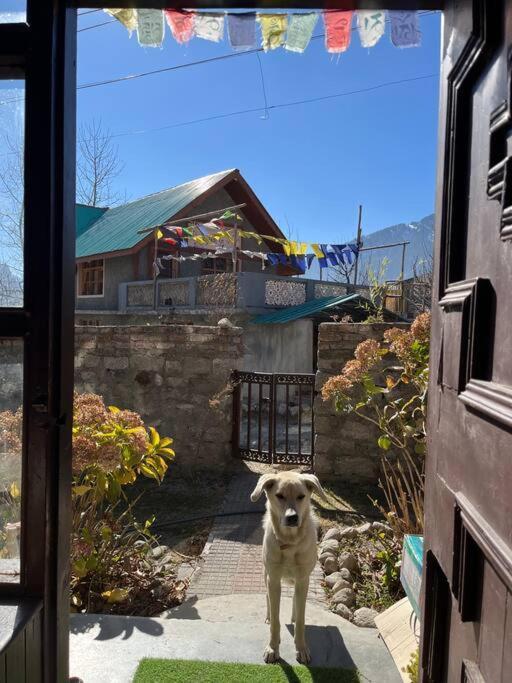 Gharsa - Your Mountain Home Manāli Exteriér fotografie